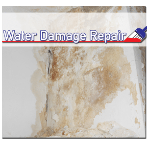 Signs of Water Damage
