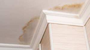 ceiling water damage around trim in corner