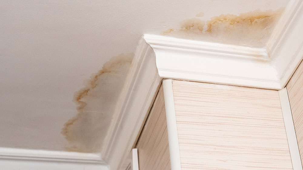 ceiling water damage around trim in corner